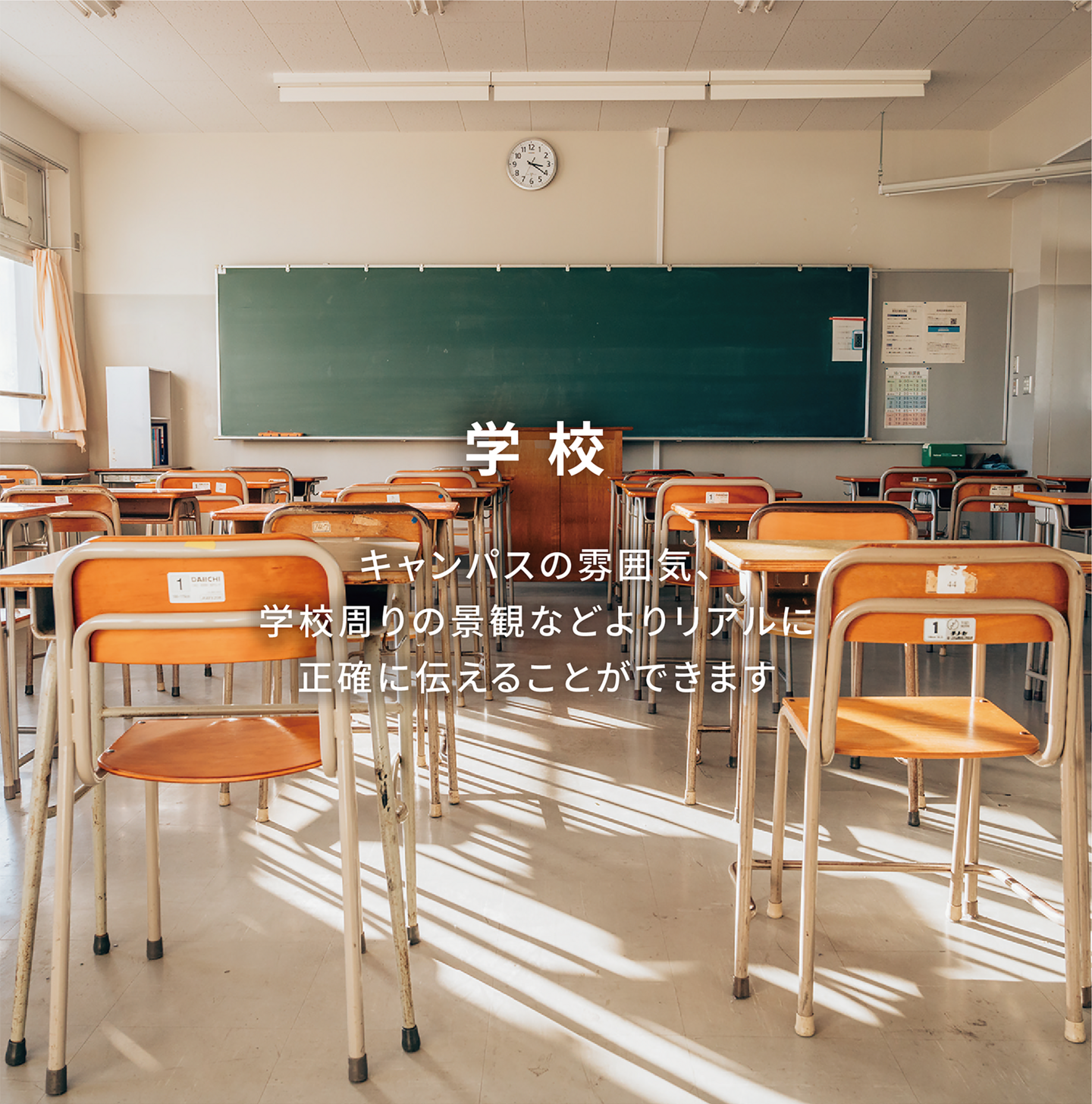 学校
